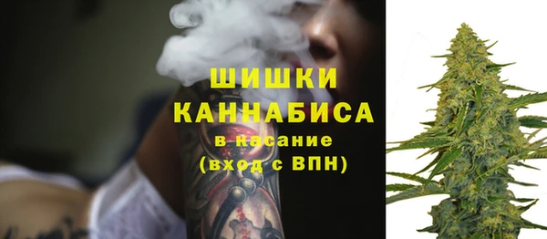 сатива Абинск