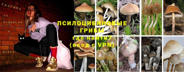 экстази Абаза