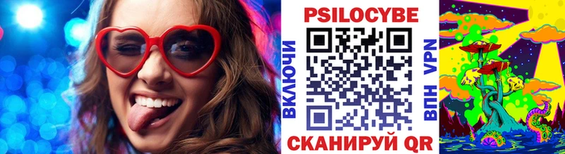Псилоцибиновые грибы Psilocybe Чухлома